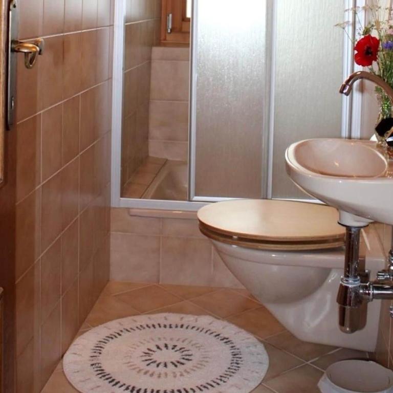 Holiday on an organic farm near ski slopes - Appartement 2 Chambres - 13