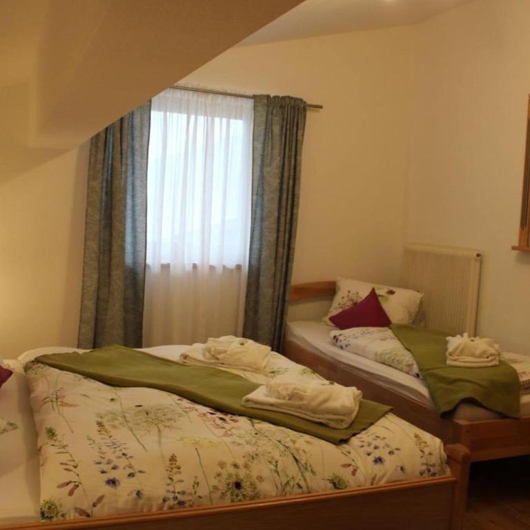 Holiday on an organic farm near ski slopes - Appartement 2 Chambres - 11