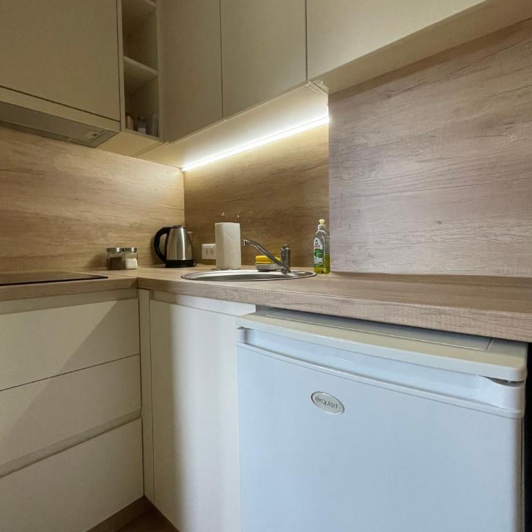 Apartmani Videnovic Sokobanja - Studio sa Balkonom - 11