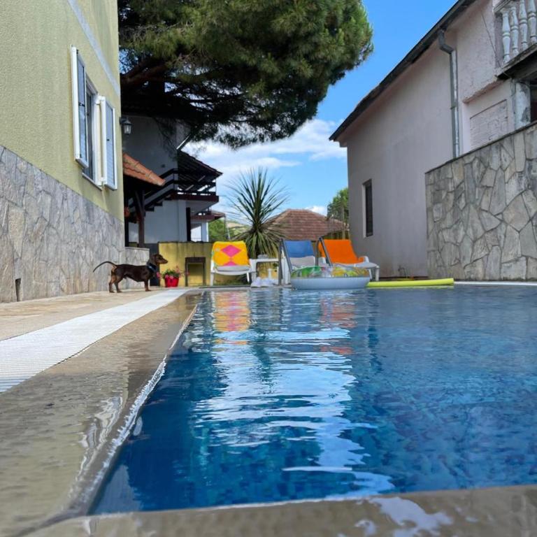 Apartments Villa-G Lustica - Apartman sa 2 Spavaće Sobe i Terasom - 24