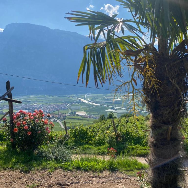 Agritur Chalet Belvedere - Apartment mit 3 Schlafzimmern - 2