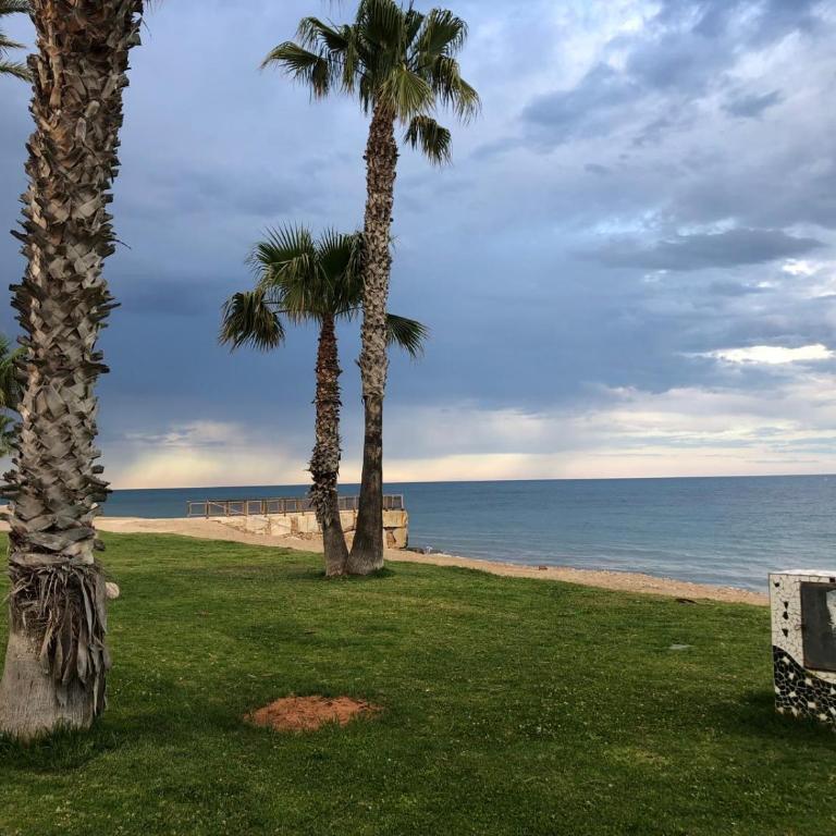 Regata Playa - Apartamento de 2 dormitorios - 28