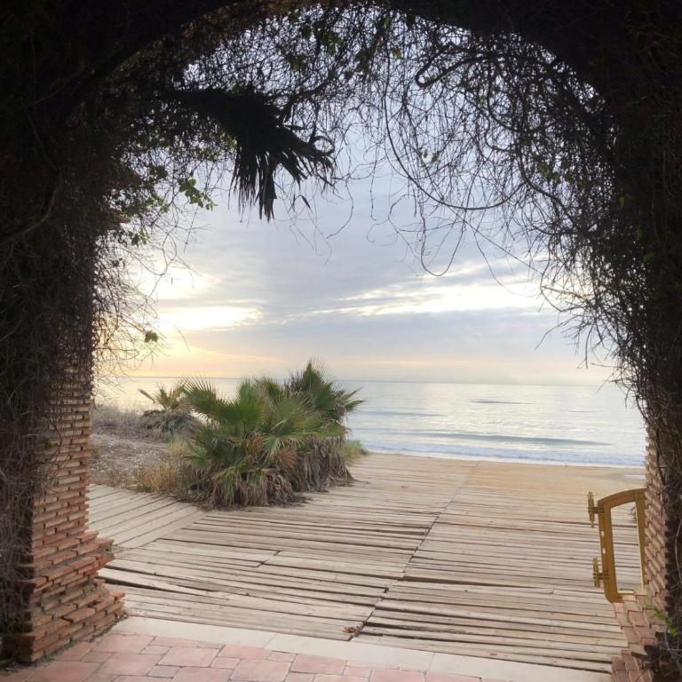 Regata Playa - Apartamento de 2 dormitorios - 29