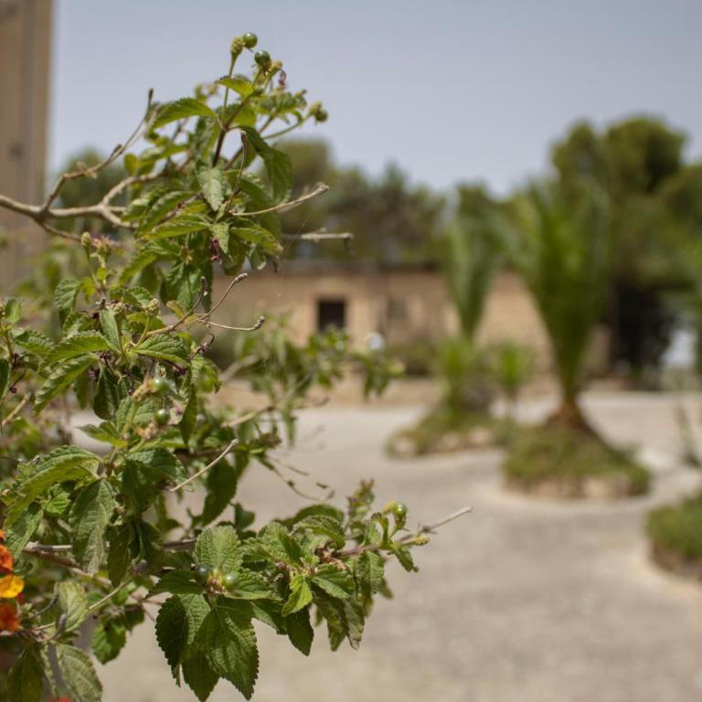 Agriturismo Bellajo - Ville Rustiche con Piscina - Casa con 6 Camere da Letto - 32
