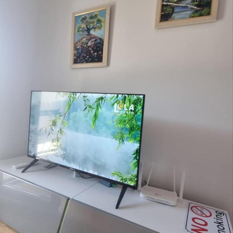 Apartman Djordjevic - Apartman sa 1 Spavaćom Sobom - 9