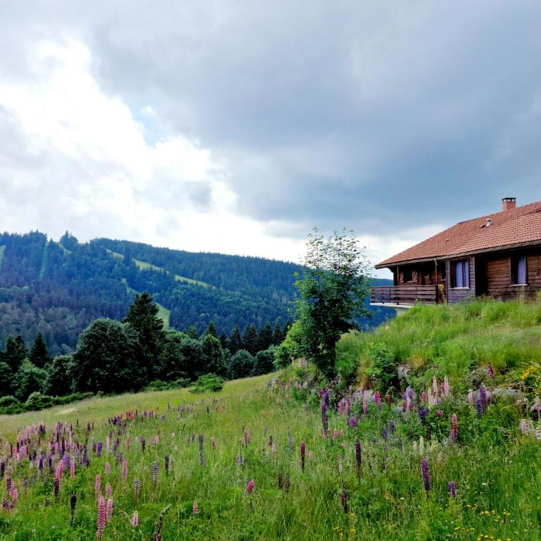 Chalet Dyna, luxe, calme et sérénité - Chalet - 47
