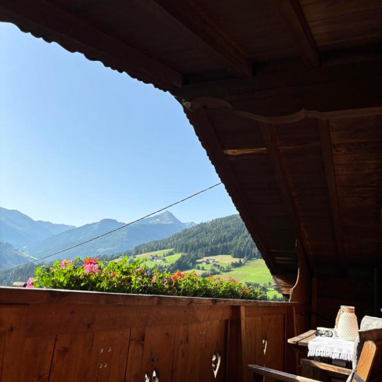 Jägerhof - Apartment mit Balkon - 11