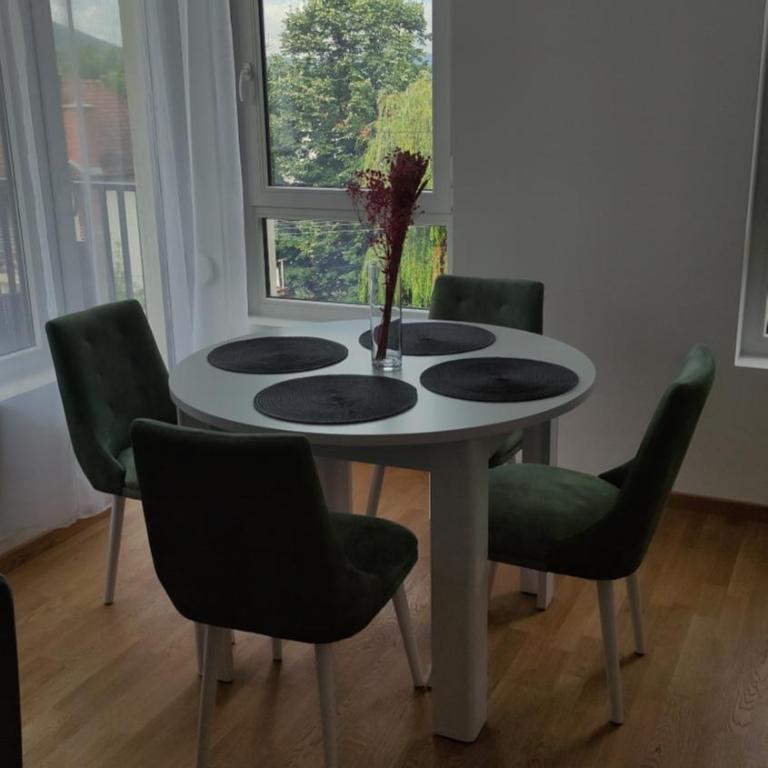 Apartman Bjanka - Apartman sa 2 Spavaće Sobe - 6