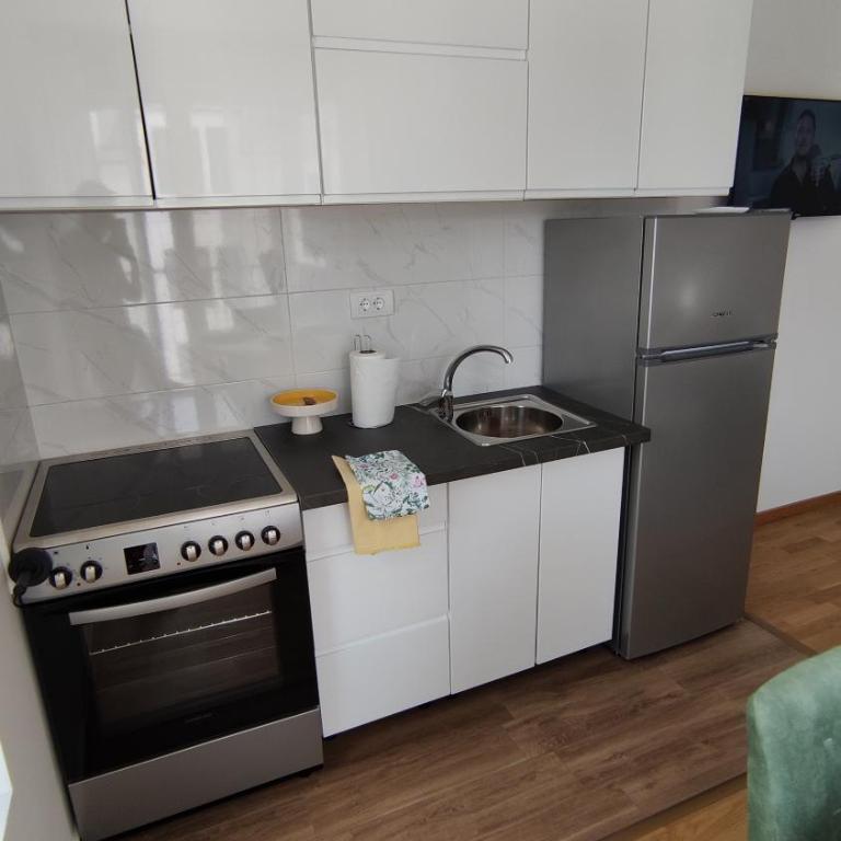 Apartman Bjanka - Apartman sa 2 Spavaće Sobe - 17