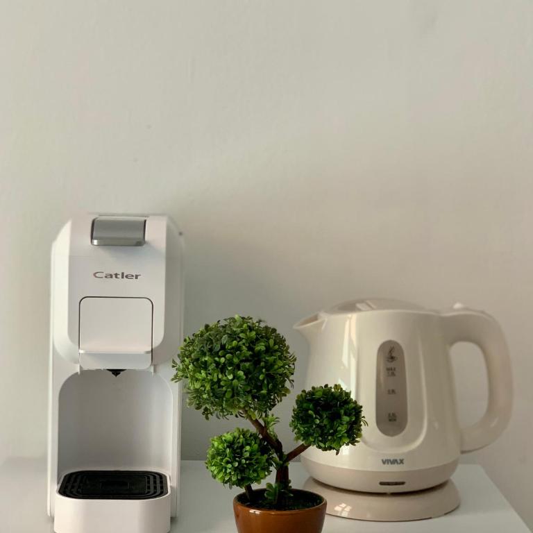 Apartman DMA - Studio with Garden View - 3