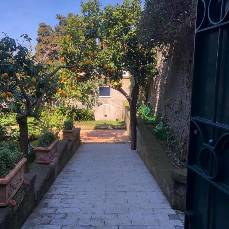 Chalet Lidia - Suite con Vista Giardino - 8