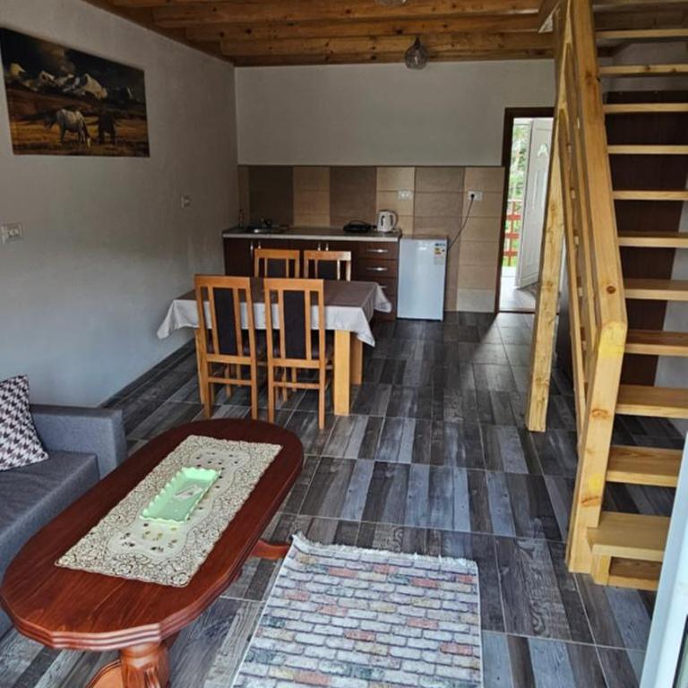 Apartmani JEZERO - Family Room with Lake View - 9