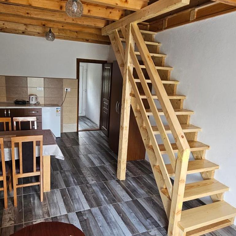 Apartmani JEZERO - Family Room with Lake View - 8