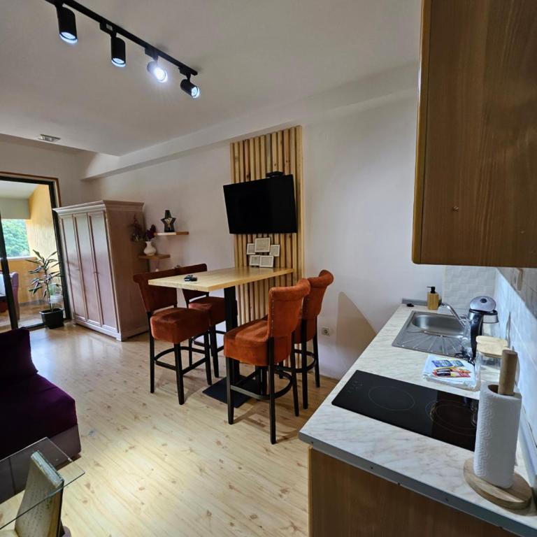Apartmani Trg - One-Bedroom Apartment - 8