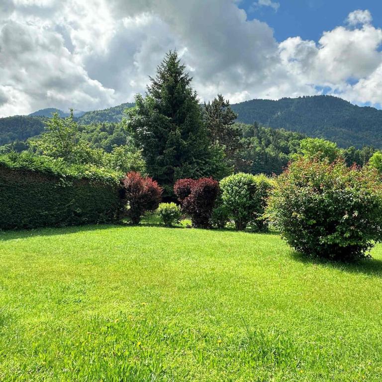 Chalet familial avec jardin et cheminée, animaux acceptés - FR-1-624-67 - Chalet (5 Erwachsene) - 15
