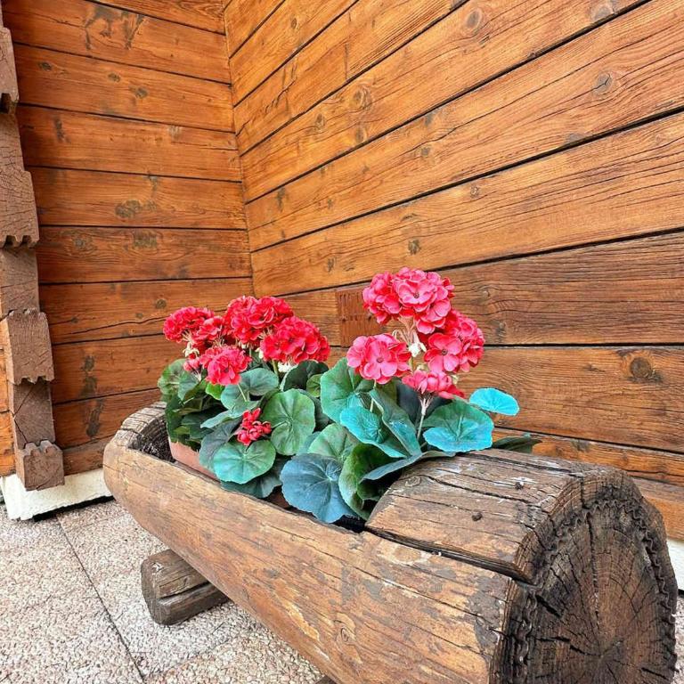 Chalet familial avec jardin et cheminée, animaux acceptés - FR-1-624-67 - Chalet (5 Erwachsene) - 16