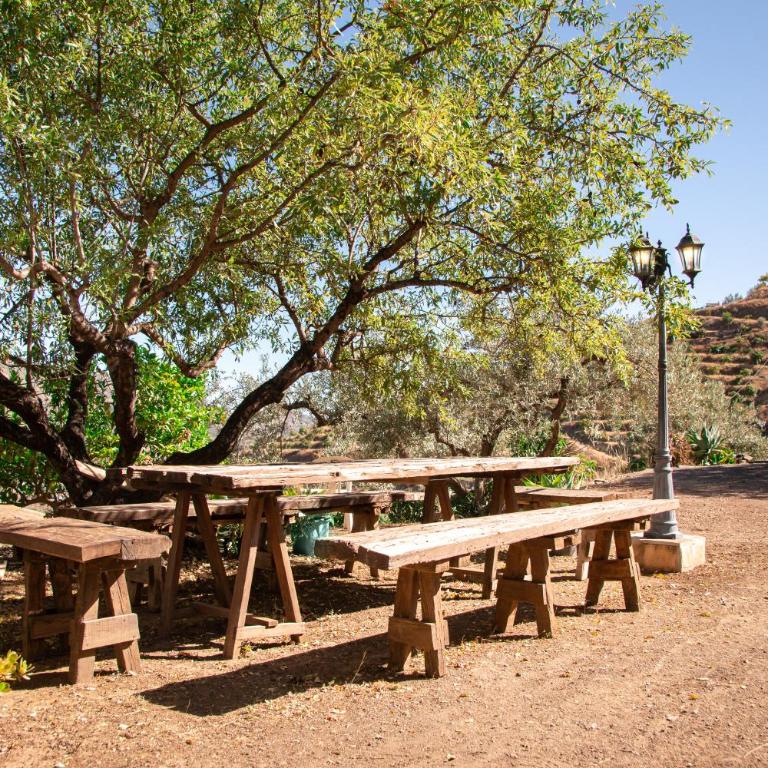 Villa Alegre y Olé - Casa de 2 dormitorios - 15