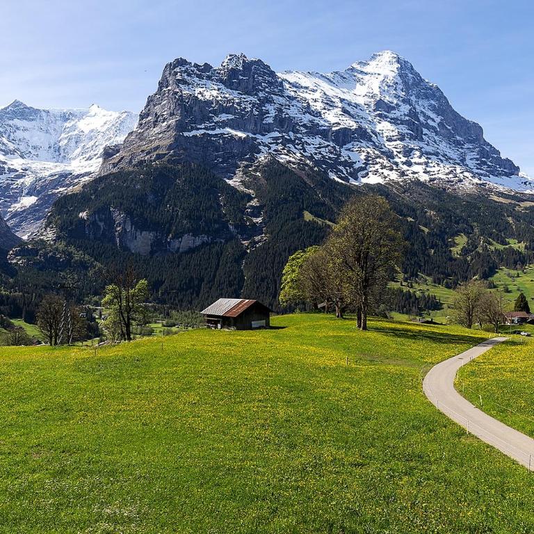 Hotel Bodmi - Junior Suite mit Bergblick - 6
