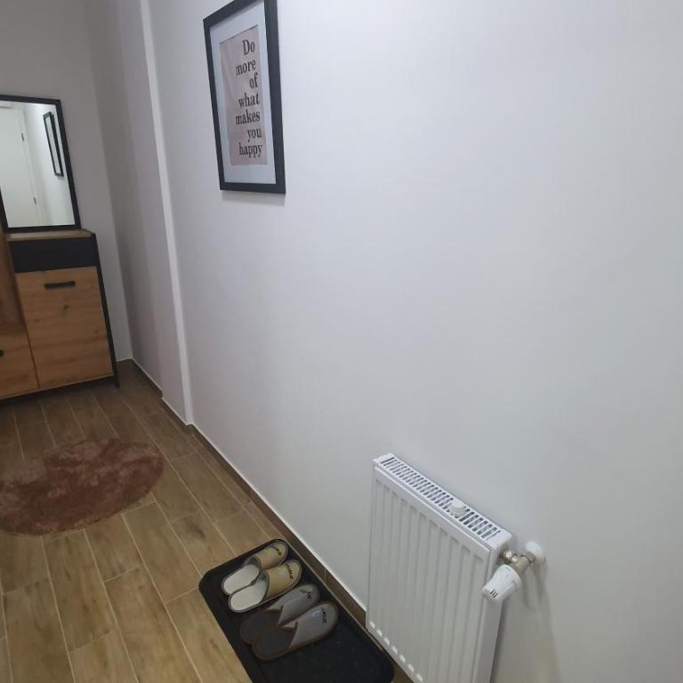 Apartman Lazić - Apartman sa 1 Spavaćom Sobom - 12