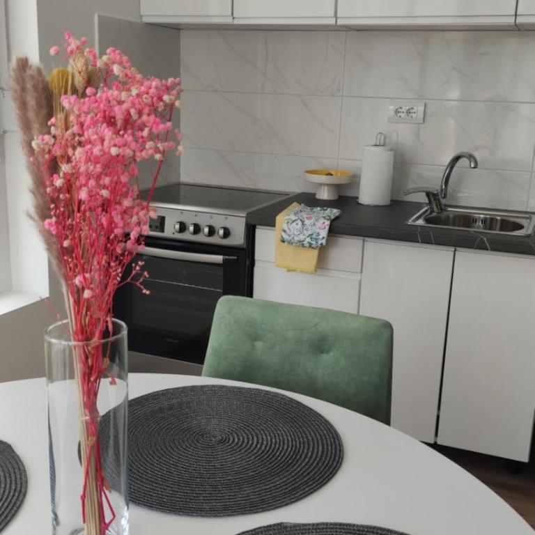 Apartman Bjanka - Apartman sa 2 Spavaće Sobe - 1