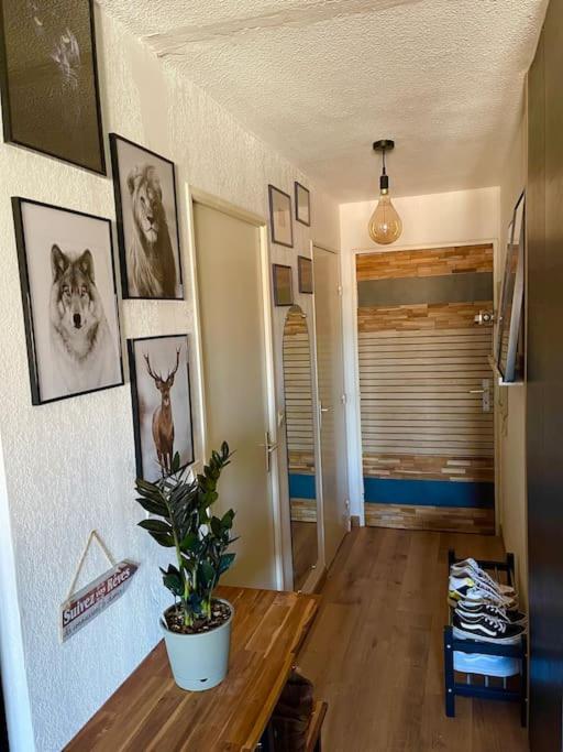Joli T2 avec piscine - Apartamento de 1 dormitorio - 7