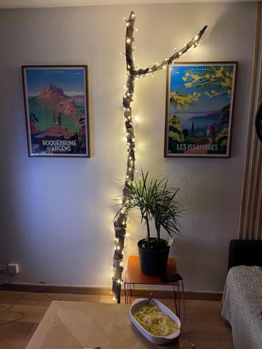 Joli T2 avec piscine - Apartamento de 1 dormitorio - 15