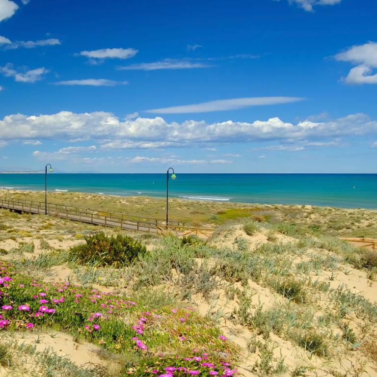 Lighthouse Dunamar - Apartamento de 2 dormitorios - 24