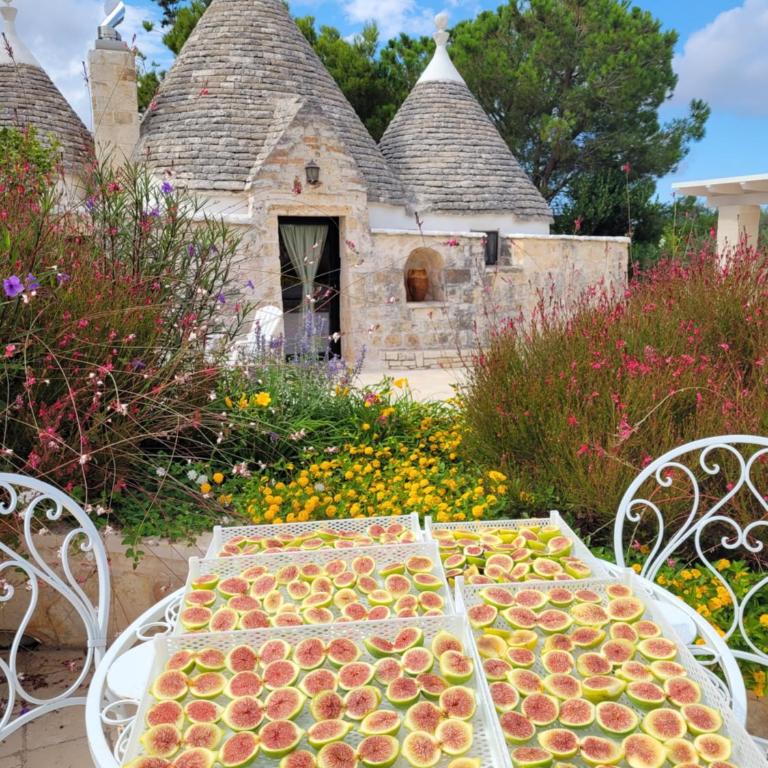 Trullo Bosco Libero Ostuni - Casa con 1 Camera da Letto - 14