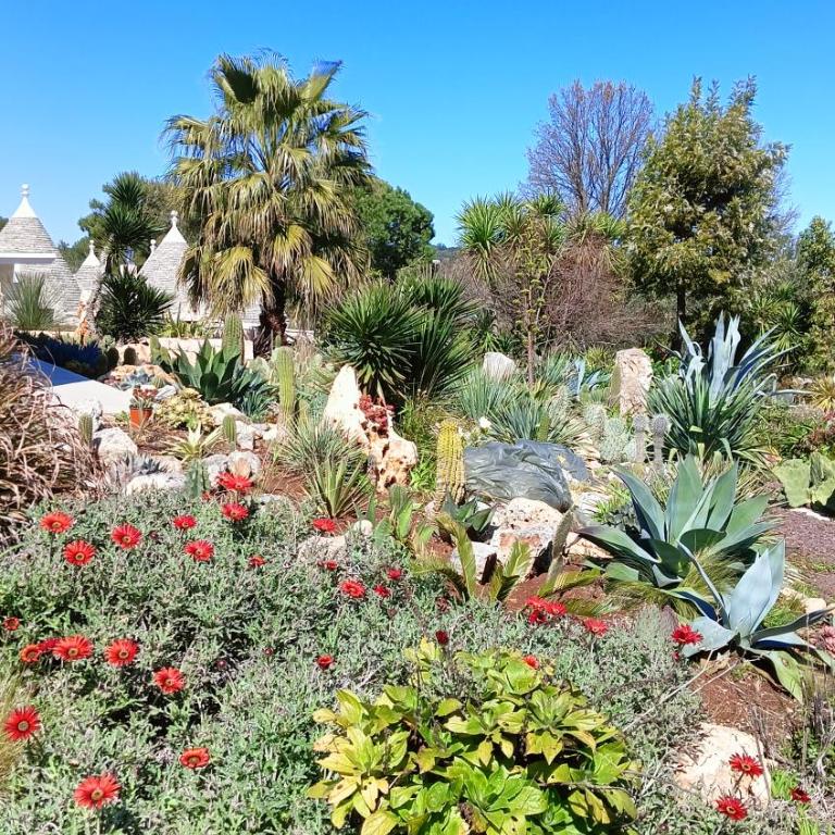 Trullo Bosco Libero Ostuni - Casa con 1 Camera da Letto - 26