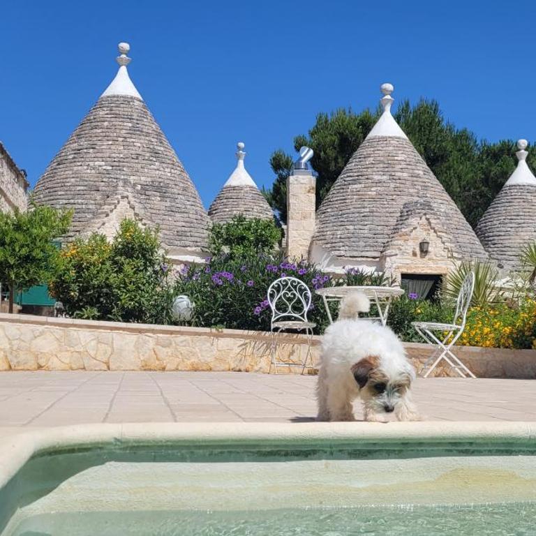 Trullo Bosco Libero Ostuni - Casa con 1 Camera da Letto - 31