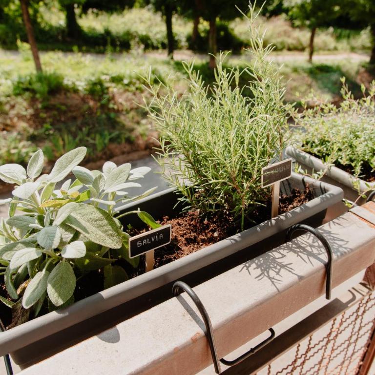14K Green House Peschiera del Garda, 5min da Gardaland - Appartamento con 1 Camera da Letto - 29