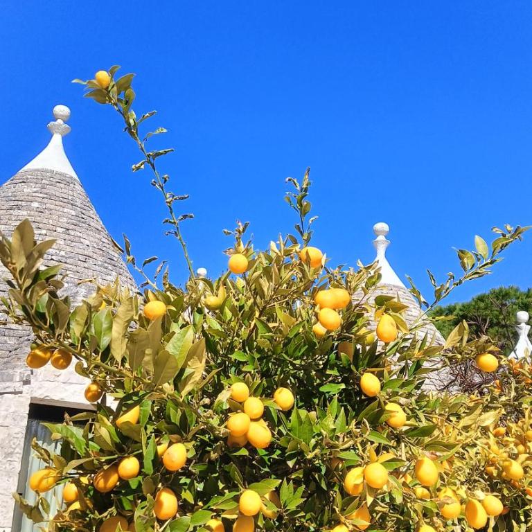 Trullo Bosco Libero Ostuni - Casa con 1 Camera da Letto - 33