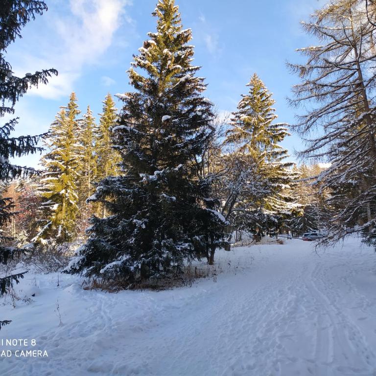 Arcs 1800 Belles Challes Studio 5 personnes - Studio mit Bergblick - 10