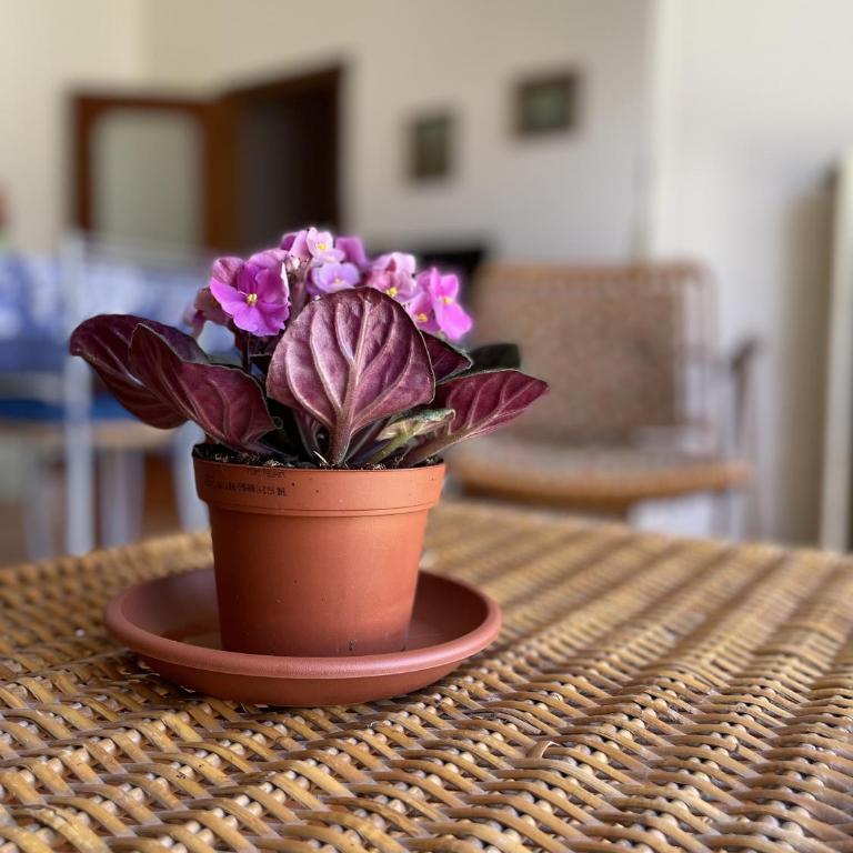 Ampio appartamento a Otranto - Appartamento l'aquilone - Appartement 2 Chambres avec Balcon - 27