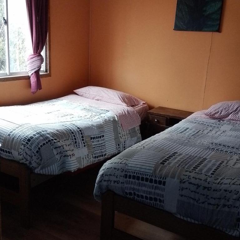 Hostal Armando - Twin Room with Shared Bathroom - 1