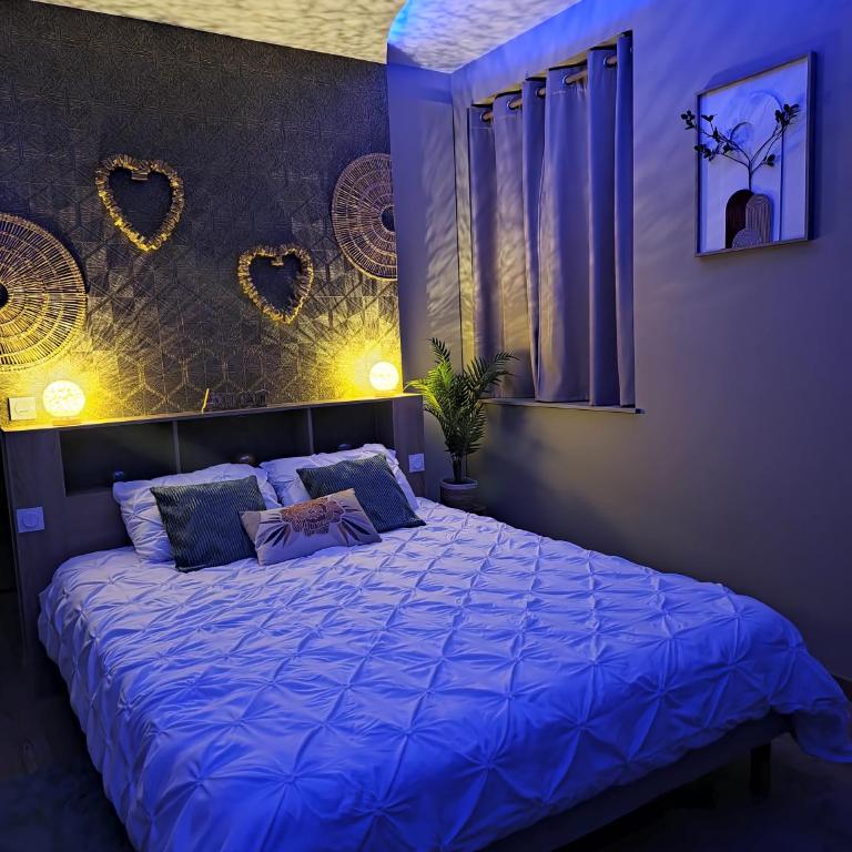 SPA rêve nature - Appartement 1 Chambre - 2