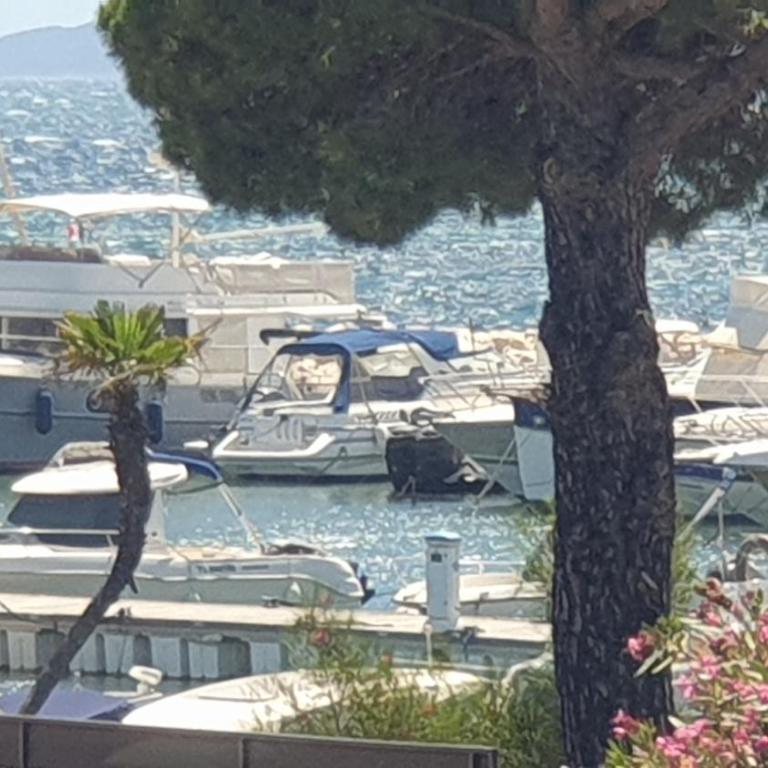 Plage Miramar - Appartement 1 Chambre - 9