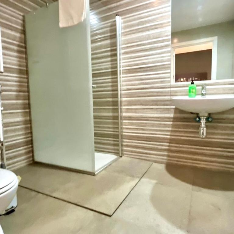 Apartamentos Pintor Losada - Estudio - 7