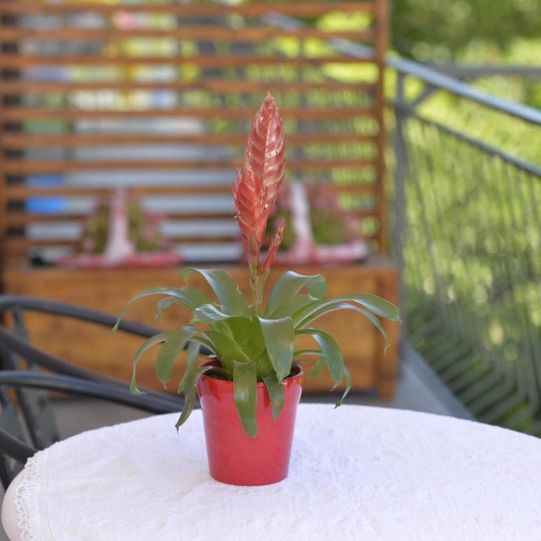 New modern place near seaside VLADAN - One-Bedroom Apartment - 60