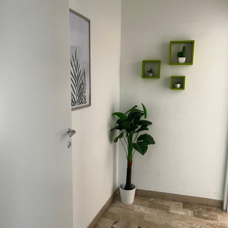 Il Fante locazione turistica - Appartamento con Bagno in Comune - 37