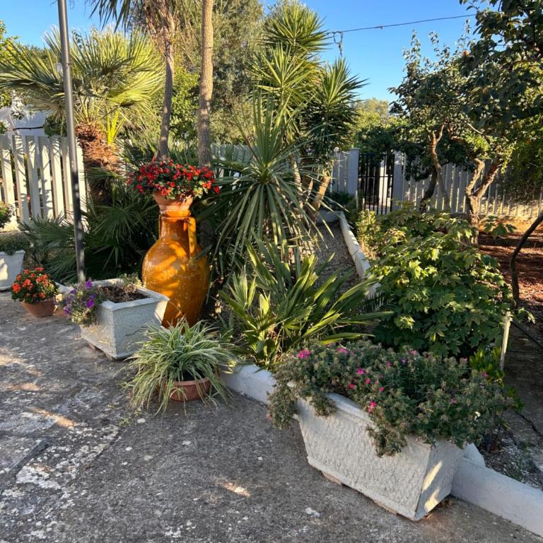 Trullo Elisabetta - Three-Bedroom House - 70