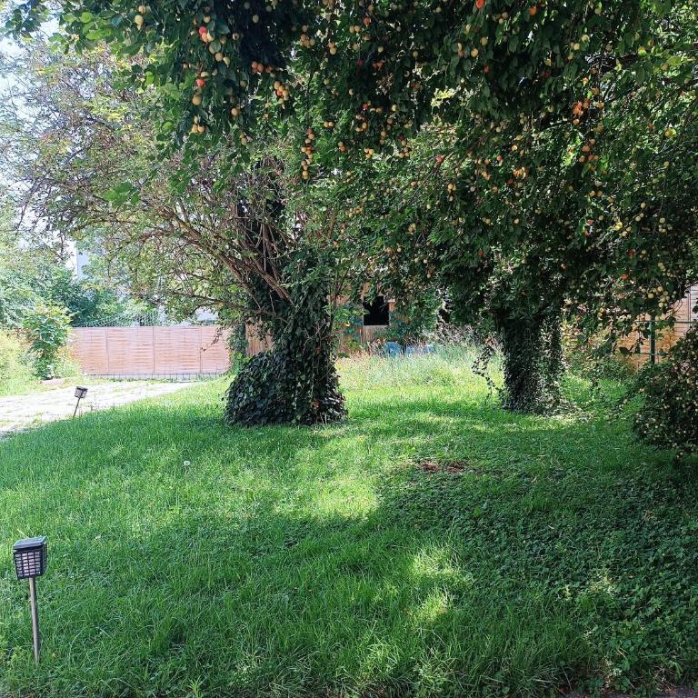 A place to be - Ruhelage mit gratis Parkplatz - Apartment mit 1 Schlafzimmer - 11