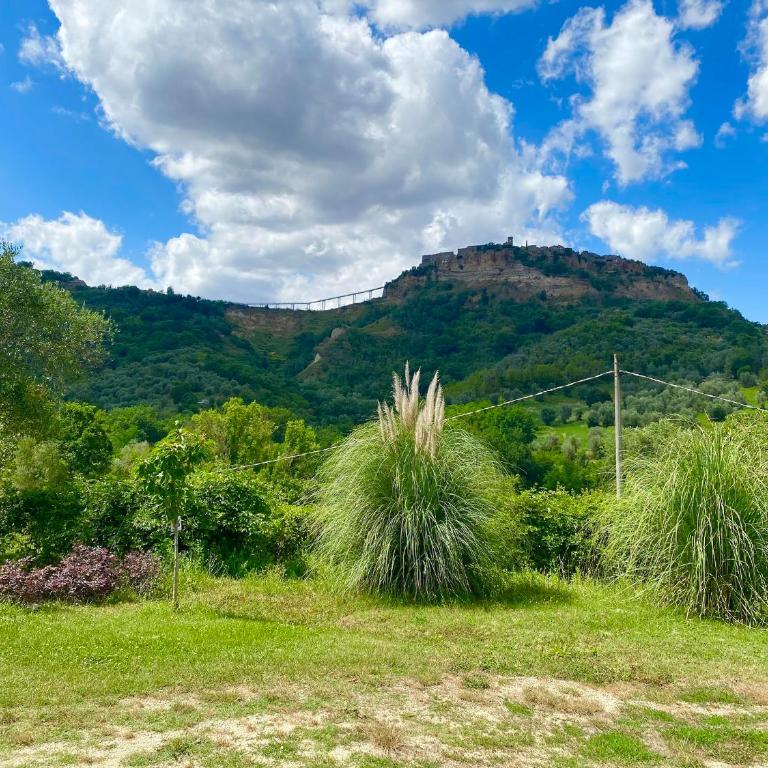 Dimora Bella Civita Bagnoregio - Casa - 3