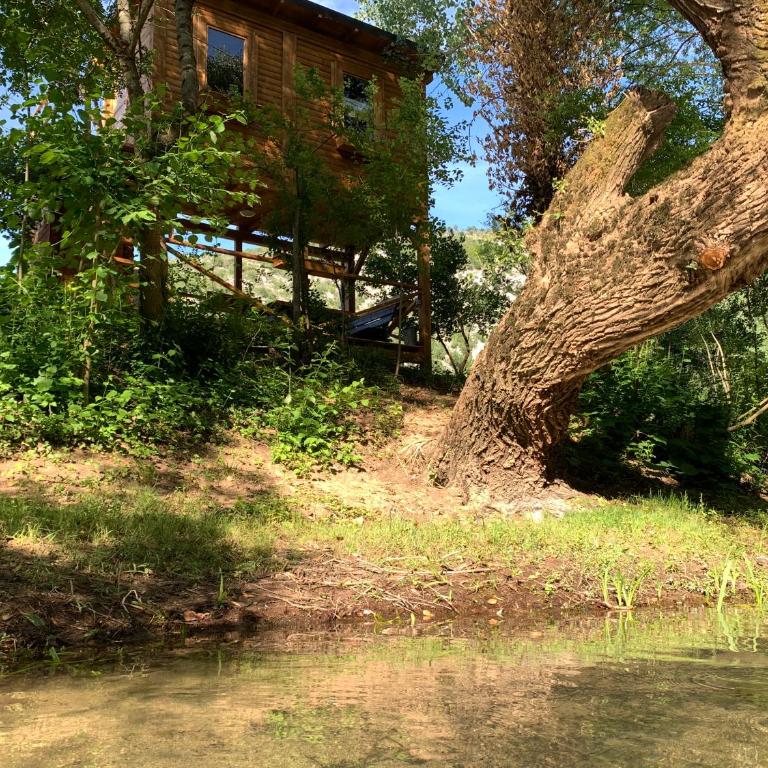 Super cute Treehouse by the river - Bungalov - pored Vode - 1