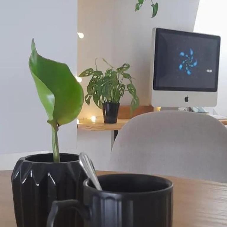 Obelisco - Apartamento de 1 dormitorio - 3