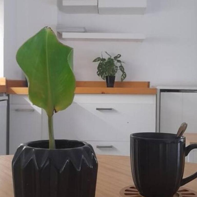 Obelisco - Apartamento de 1 dormitorio - 16