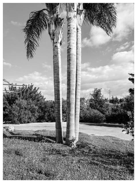 La casa di Babette - Villa - 32