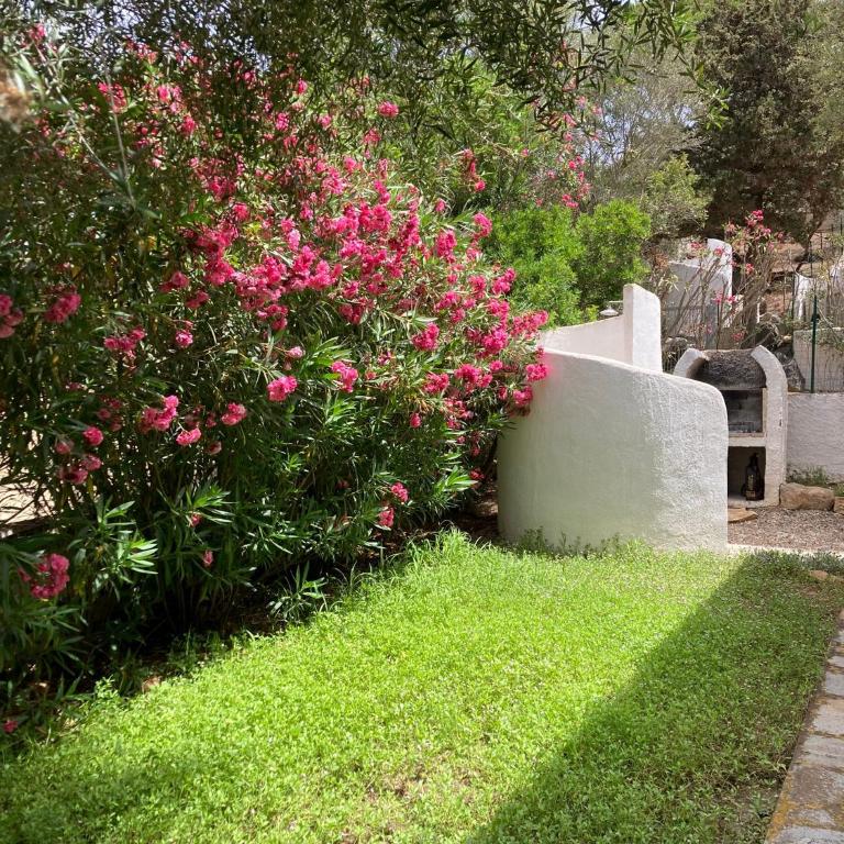 Villetta indipendente Simius - Three-Bedroom House - 7