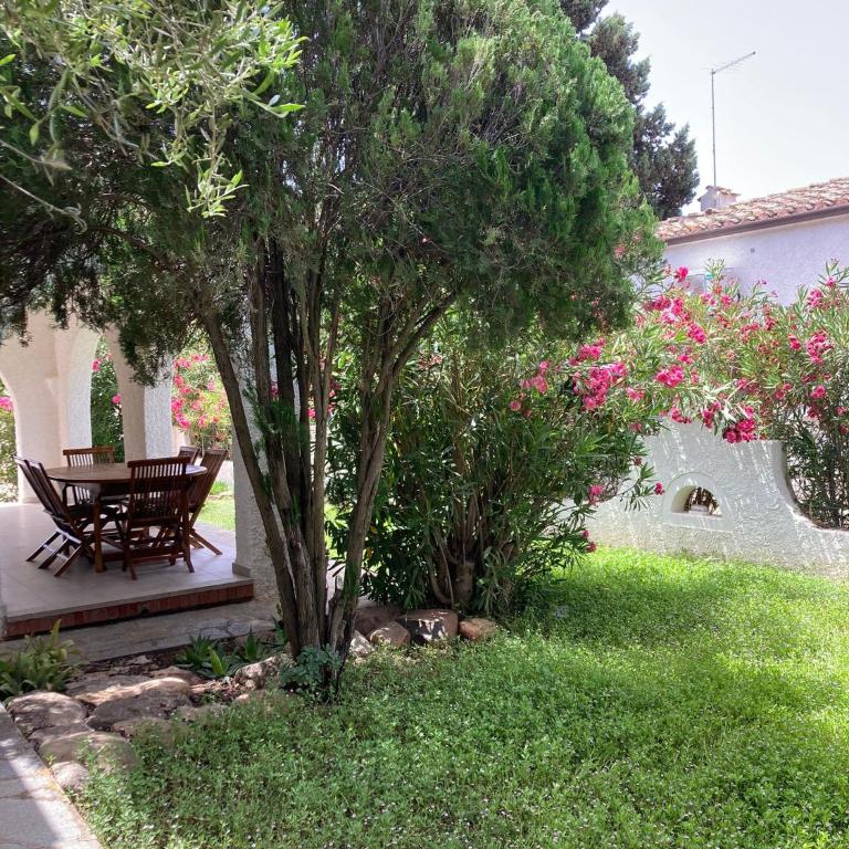 Villetta indipendente Simius - Three-Bedroom House - 6