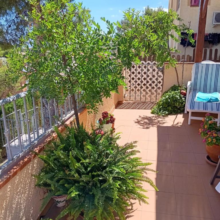 Apartemento Monika Monte Pedrera C 1 TOP Aussicht - Apartamento de 2 dormitorios - 34